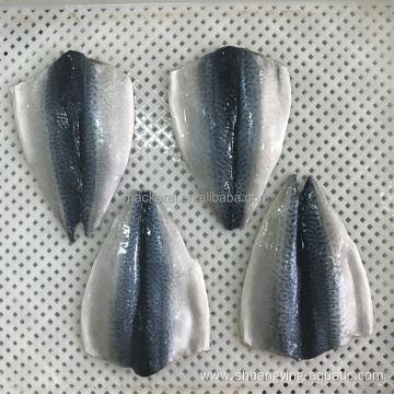 Export Frozen Fish Frozen Mackerel Flaps Butterfly Mackerel